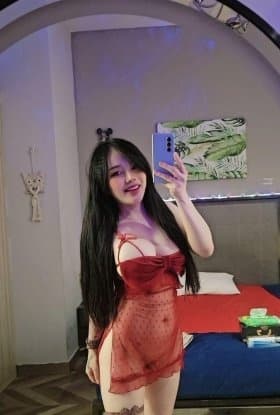 LISA photo 2